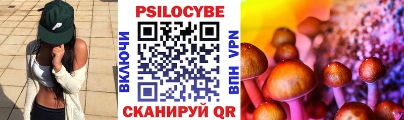 Галлюциногенные грибы прущие грибы  Усть-Джегута 